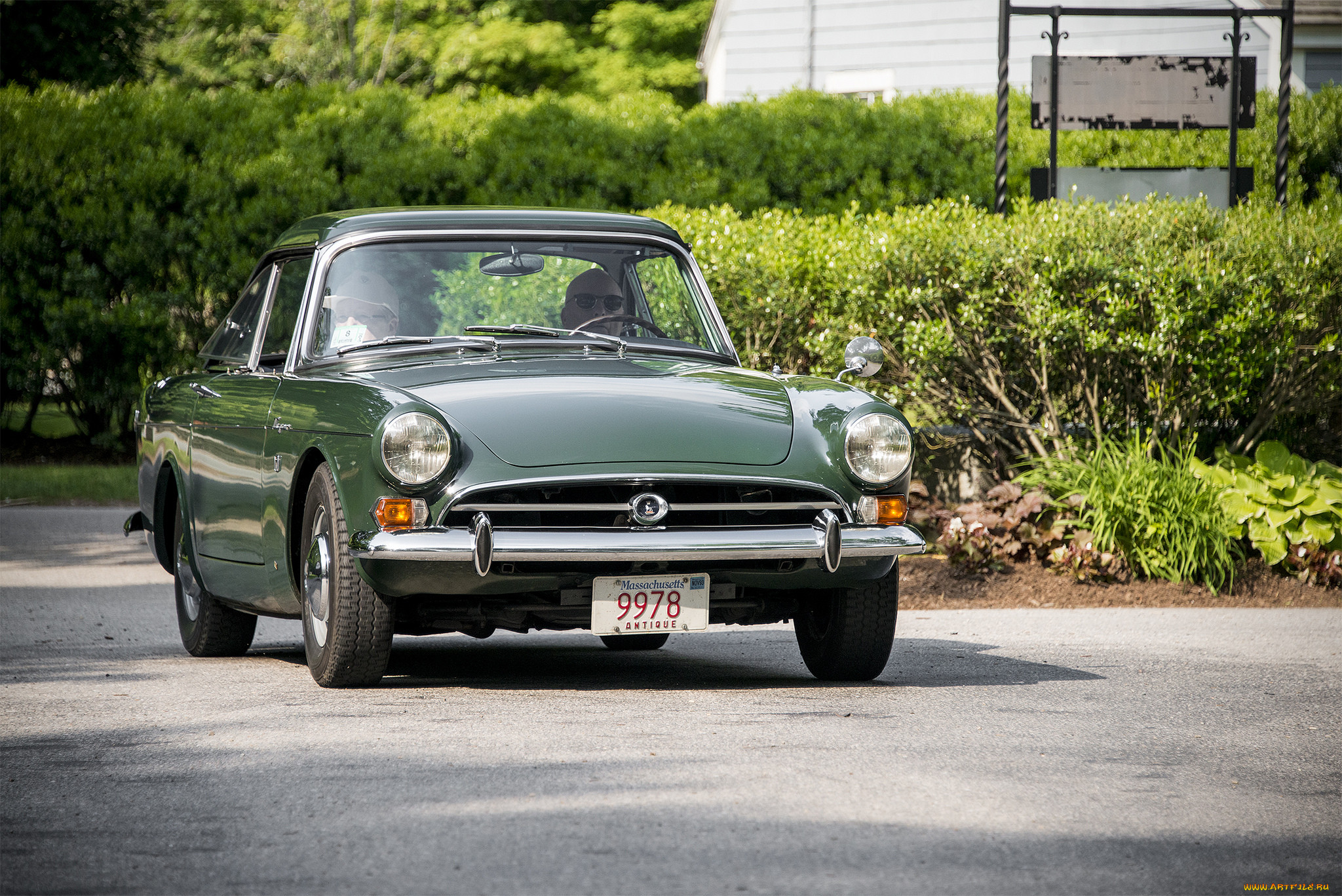 sunbeam tiger, , sunbeam, , , 